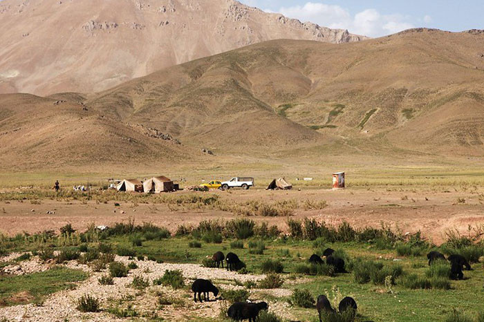 17. What happened to the Gibson Nine children