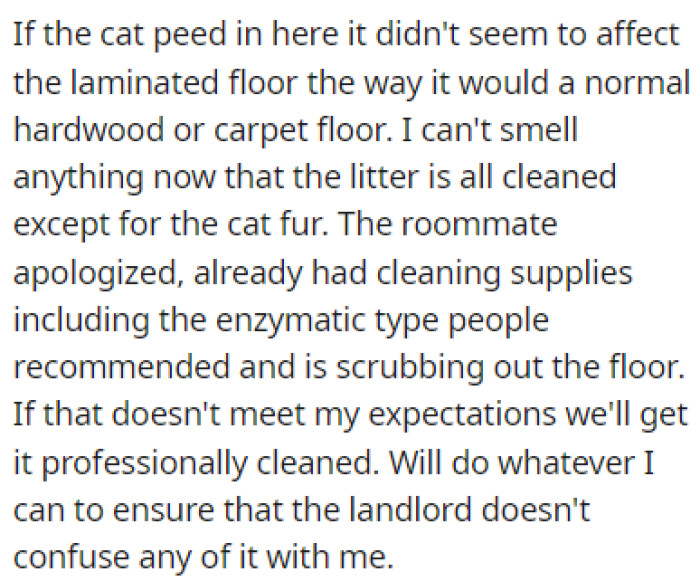 The roommates apologized for what they did and they cleaned OP's room