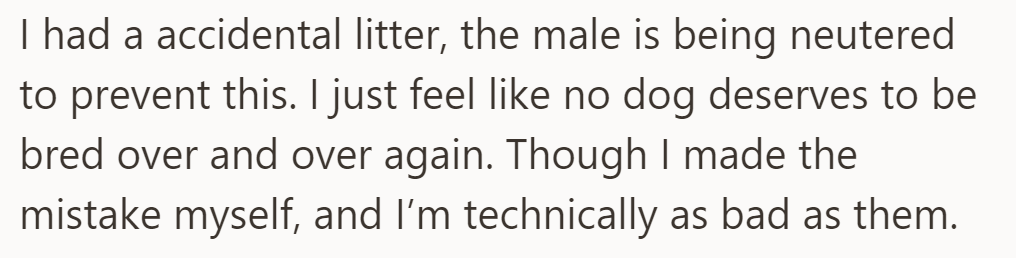 OP had an accidental litter; they are neutering the male to prevent further breeding. Feels conflicted, opposes repetitive breeding.