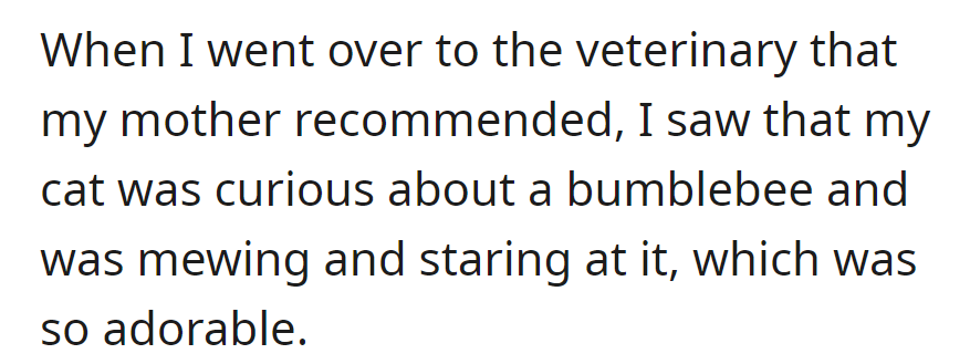 At the recommended vet, Qimao's adorable curiosity over a bumblebee made the visit unexpectedly charming.
