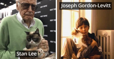15 Celebrities Who Have Shared Precious Photos With Their Cats