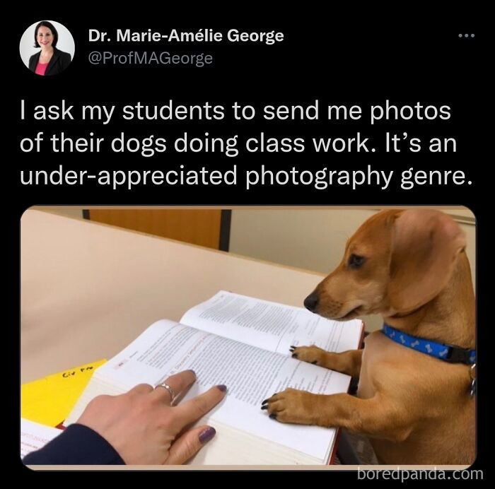 "This Is Adorable"