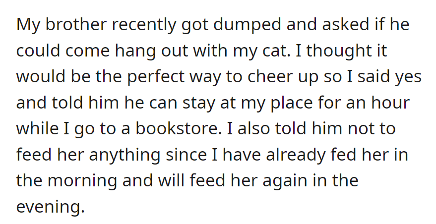 OP's sad brother requested cat time. OP agreed, went to a bookstore for an hour, and warned against feeding the cat, as she'd been fed in the morning and would be again in the evening.