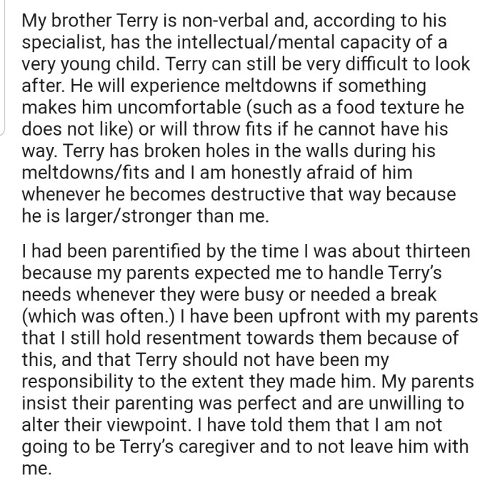 OP explained that their brother has a mental issue, which causes him to be destructive during meltdowns. Over the years, OP has developed resentment towards their parents due to the level of responsibility for their brother that has been pushed their way.