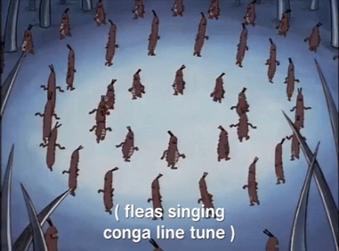 Fleas are the literal worst