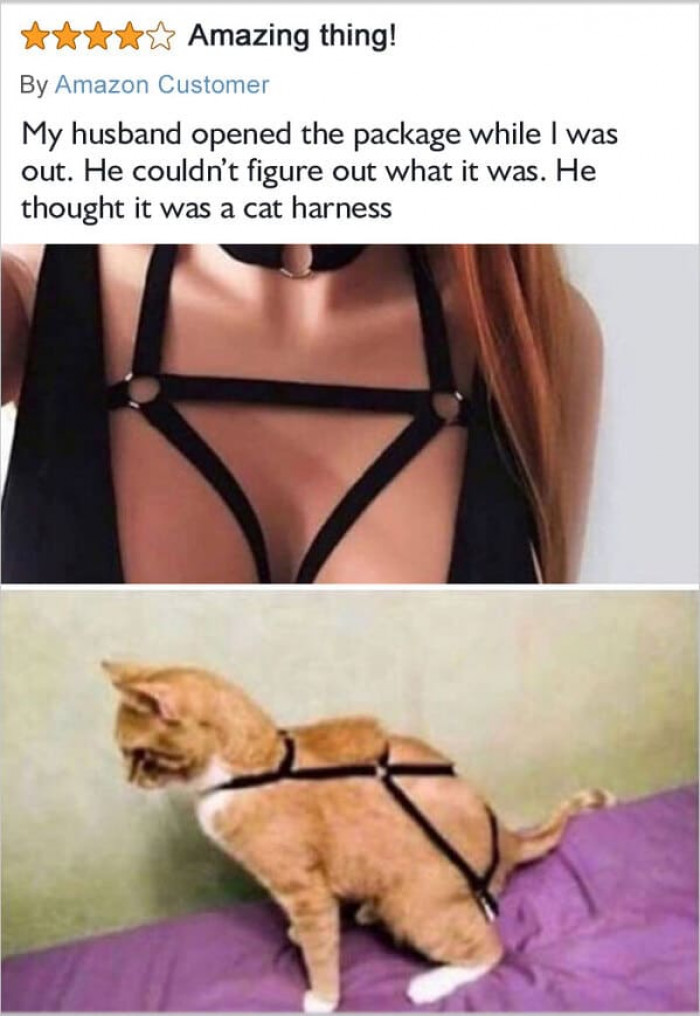 13. “But Did It Work?”