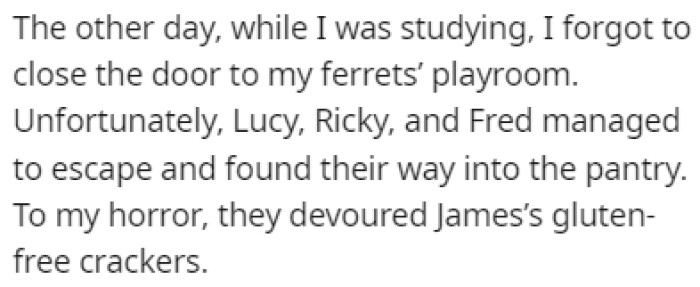 A few days ago, OP's ferrets got out of their playroom and broke into the pantry