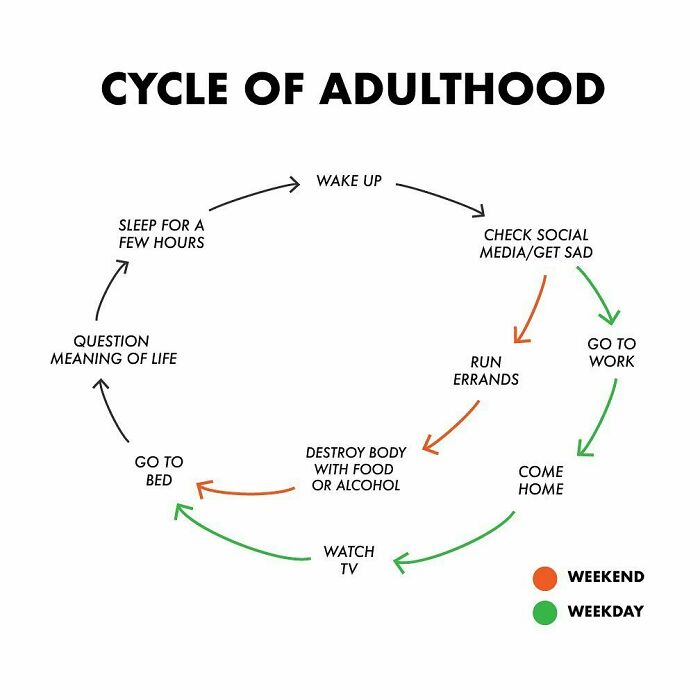22. Cycle of Adulthood.