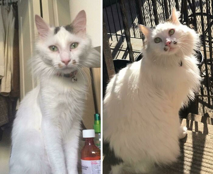 "The Difference A Year Adopted Makes"