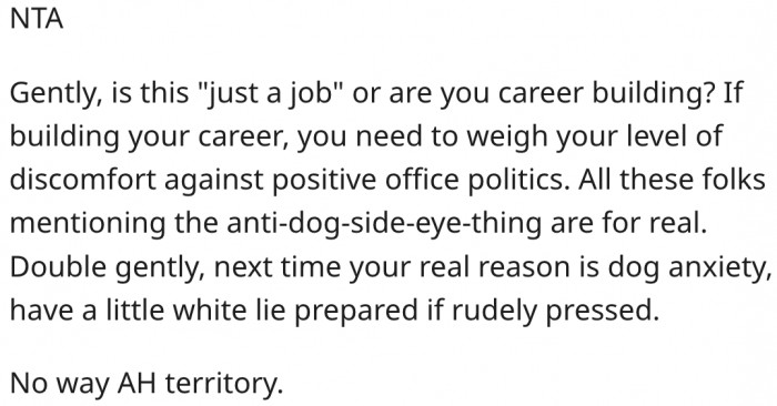 9. Next Time, He Should Prepare a White Lie.