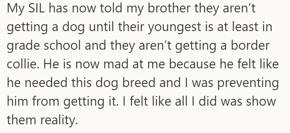 OP's sister-in-law decided against getting a Border Collie until their youngest was in grade school. The brother is upset, feeling OP blocked his choice.