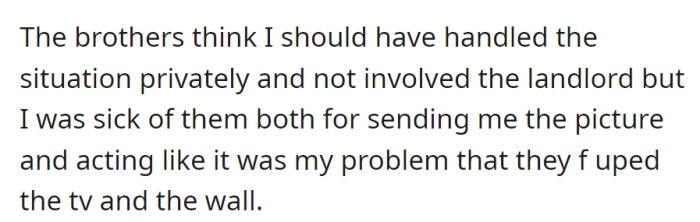 They blame OP for involving the landlord but were tired of being treated as if the TV and wall mishap were solely their problem.