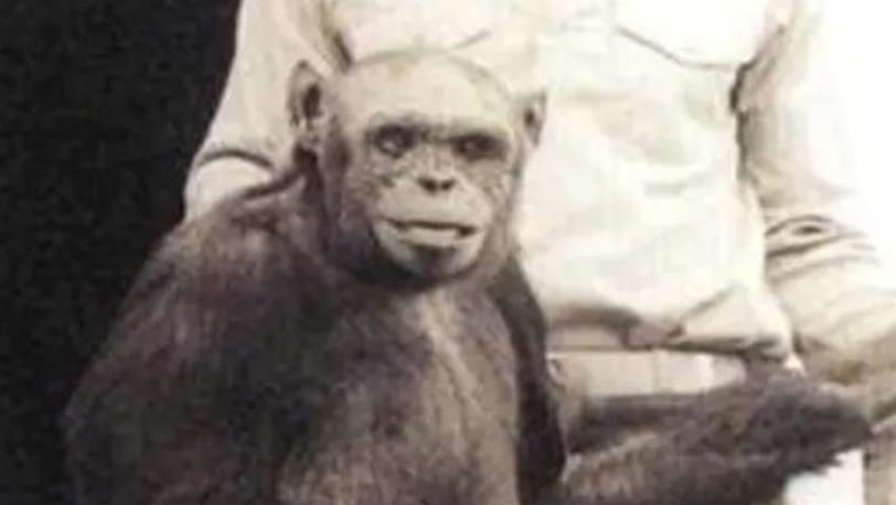 This Story Is Intriguing and Terrifying at the Same Time