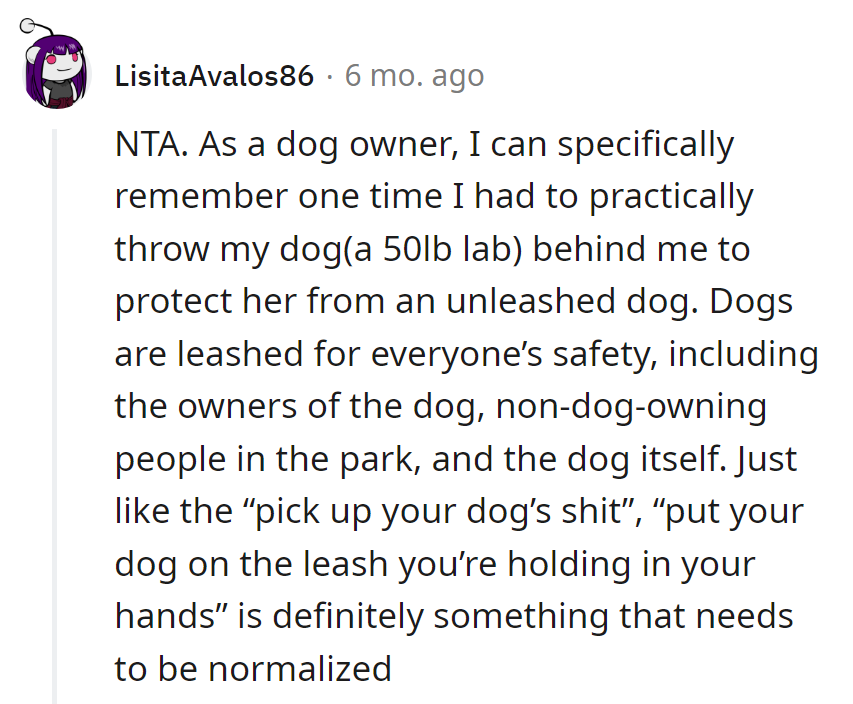 Leashes: the unsung heroes of doggy survival and park harmony. 🐾🧑‍⚖️