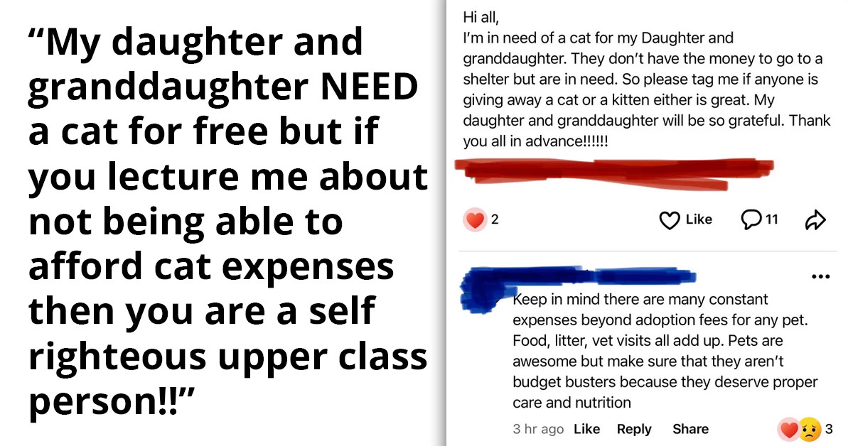 Choosing Beggar Wants A Cat For Free, Gets Defensive After Someone Comments About The Costs That Come With Owning One