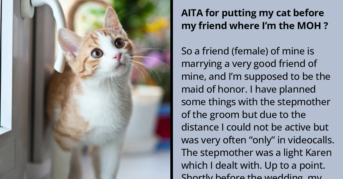 Redditors Rally Behind OP For Choosing Her Cat Over Attending Her Friend's Wedding, Even If She Was The Maid Of Honor