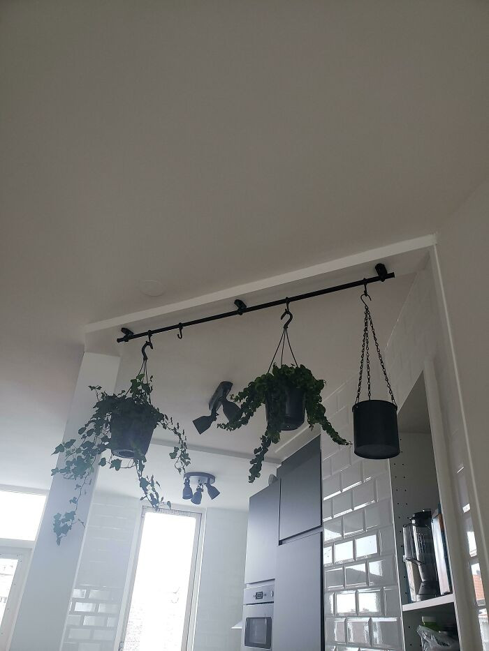 30. Ceiling decorated with plants using Fintorp to hang them