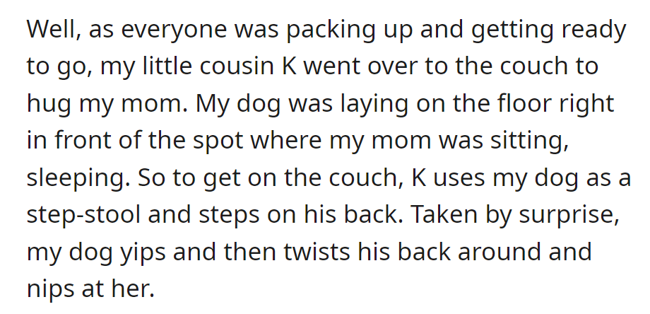 Cousin K stepped on the sleeping dog to reach the couch, startling it. The dog yipped, twisted, and nipped in surprise.