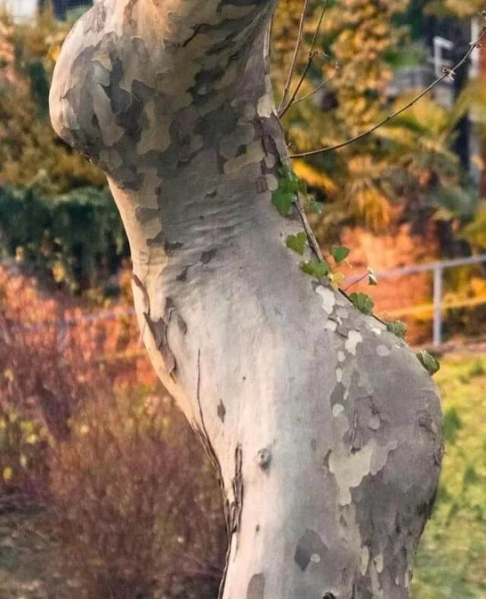 6. Mother Nature must be a very good sculptor