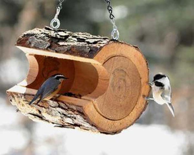 12. Bird Feeder: Birds will flock to this dining spot.