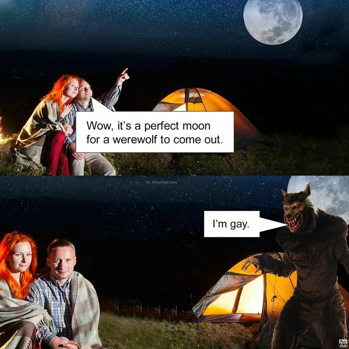 7. The werewolf's gay