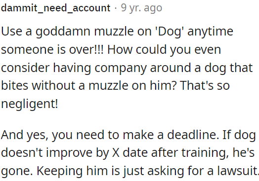 They can set a deadline for the dog's behavior to improve, or else consider rehoming the dog to avoid legal issues.
