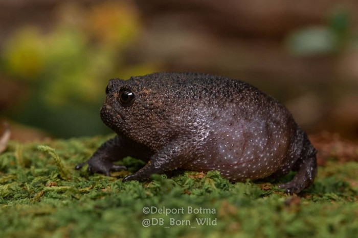 9. There's a profound sadness about this one right here.