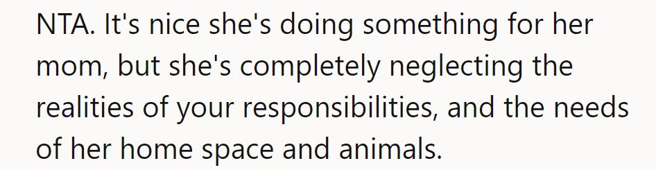 NTA. Mom's dogs are cool, but reality check: home and animals need care too.