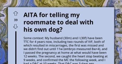 Grieving Redditor Questions If She’s Wrong For Refusing To Care For Roommate’s Dog After Surgery