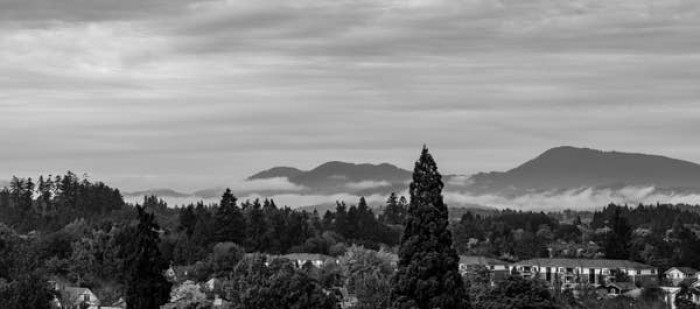 14. The Holy Rollers