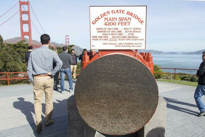 25. They cut cables that were used in the Golden Gate Bridge in half.