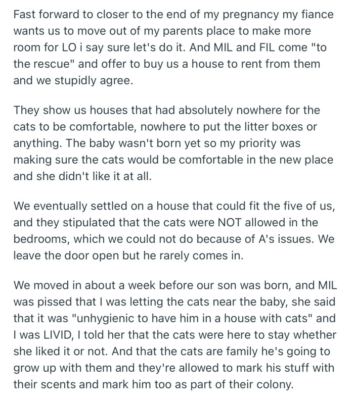 OP’s MIL is of the Opinion That Her Cats Could Endanger the Health of Her Baby