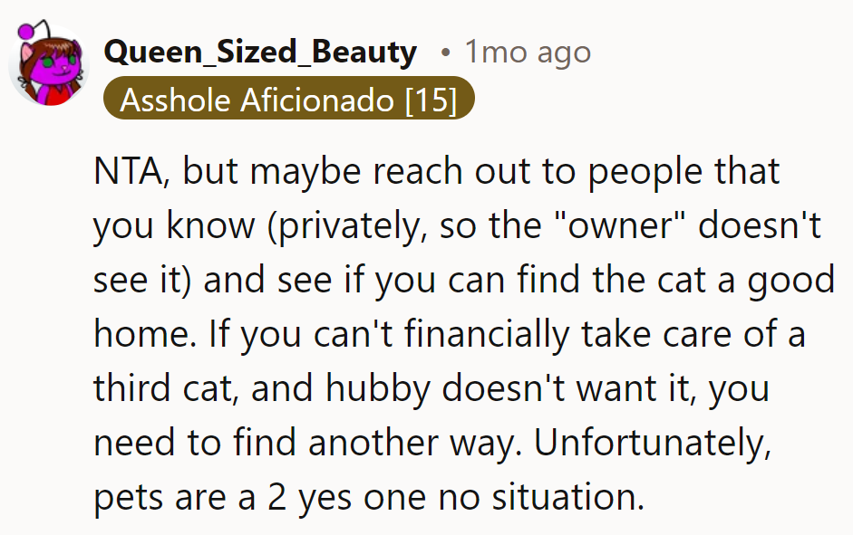 NTA, but remember, it takes a village to find a cat a home. Two yesses, one meow!