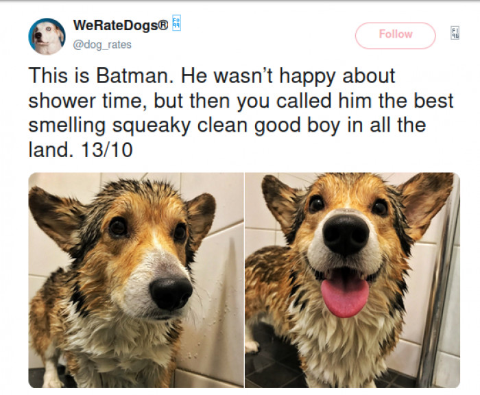 6. Don't try to convince me that dogs don't love being praised. (Not that I think YOU would...)