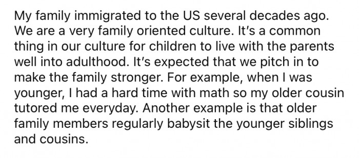 The Redditor stated that it's not unusual in their culture for children to live with their parents well into adulthood; however, it is expected that everyone pitches in and pulls their weight in the home.