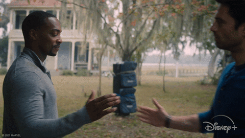 Both of these star-studded dudes started out playing supportive roles in Captain America movies, but they went on to costar in their very own series on Disney+