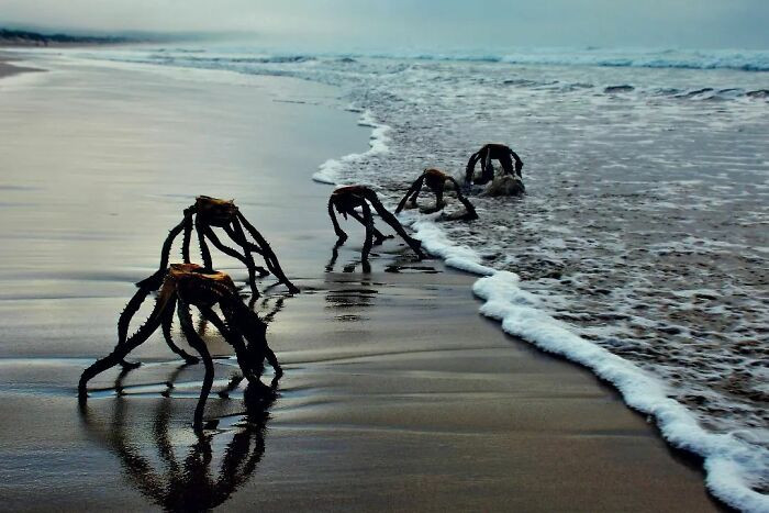"Early Morning Swim. Are They Here To Stay?"