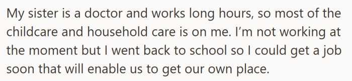 While her sister works long hours as a doctor, she handles most of the childcare and household responsibilities.