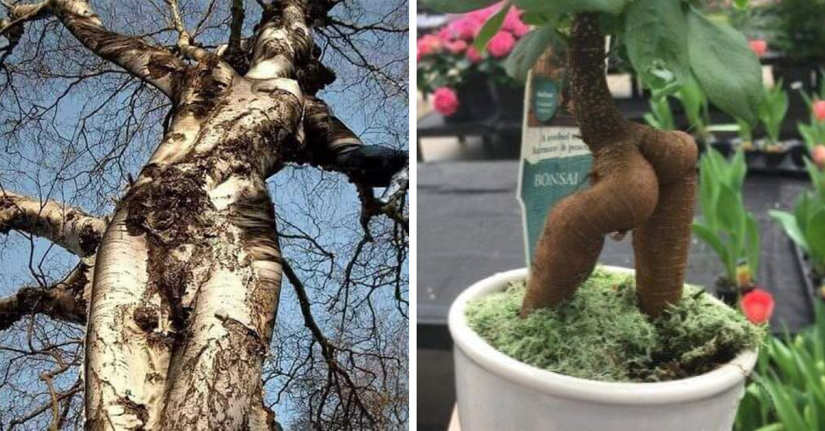 Mother Nature Is Displaying Her Wild Side And These 21 Pictures Are Solid Proof Of It