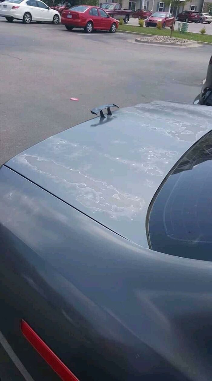 29. What is the function, please?