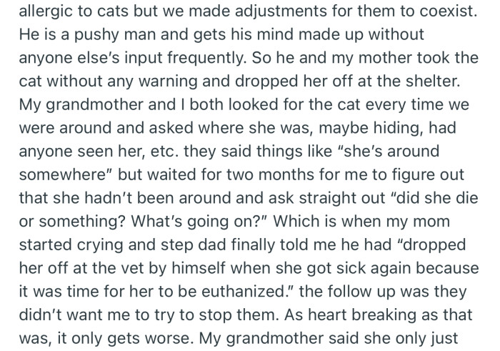 OP’s Stepdad and Mom Secretly Dropped Her Cat Off at the Shelter