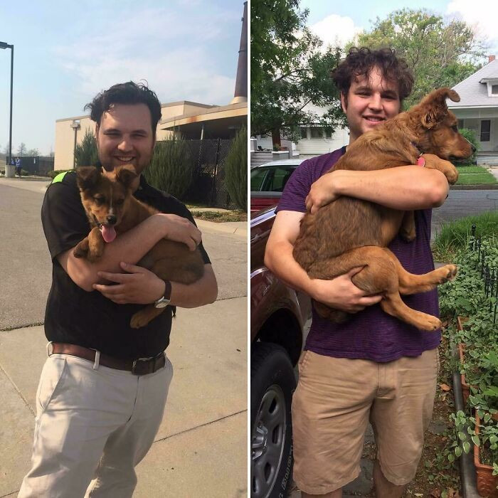 "The First Day I Met Zoey At The Shelter And A Year Later"