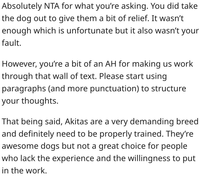 14. Akita is not an ideal dog breed for first-time dog owners.