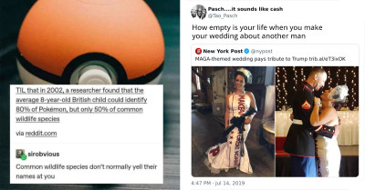 40 Quick Replies Are Tackling Misinformation With Humor And Wit