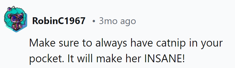 Catnip: the secret weapon for inducing feline madness!