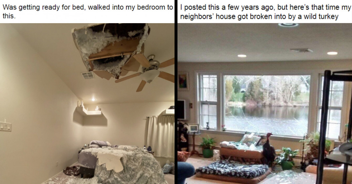 27 Times People Purchased Their Dream Home And Regretted Their Decisions Almost Immediately
