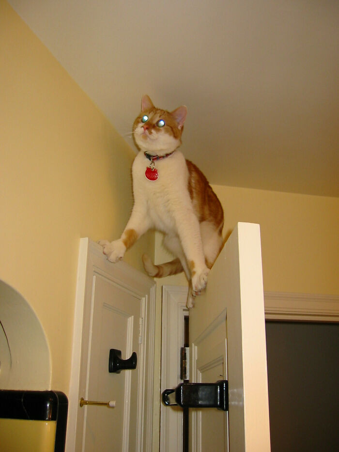 "I've Made A Huge Mistake"
