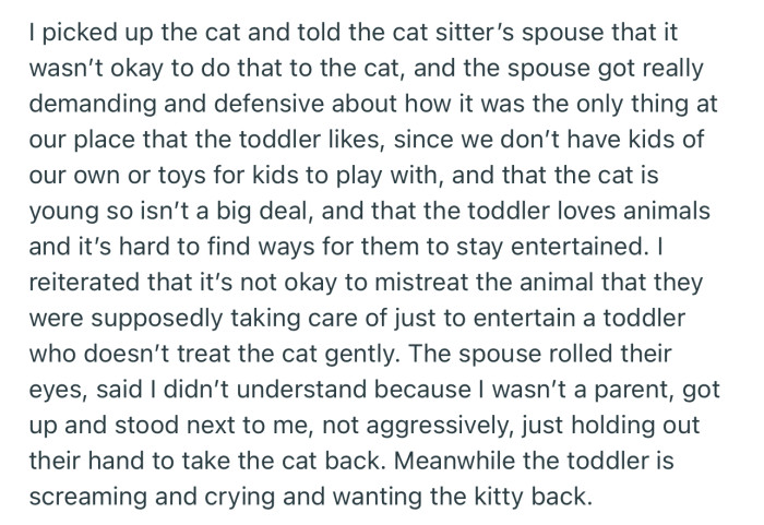 OP told the cat sitter and their partner that it wasn’t okay for them to allow their toddler to abuse the cat. But they were adamant that it’s what keeps their child entertained