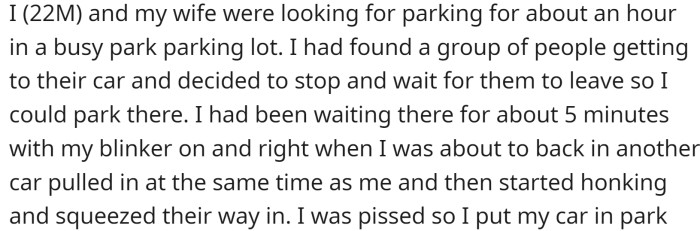 OP and his wife were looking for parking for an hour in a busy park parking lot.