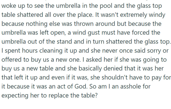 An unexpected storm swept through their town that night. When the family awoke, they found their patio in disarray.